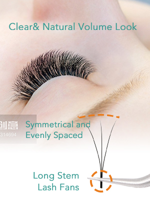 Private Label Long Stem Premade Fan Lashes Extension Vendors