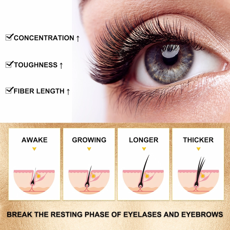 Hot Selling  Eyelash and Eyebrow Growth Serum Natural Organic with Private Label LM
