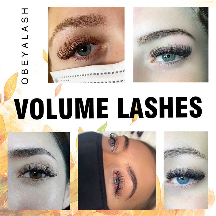 lash-volume.jpg