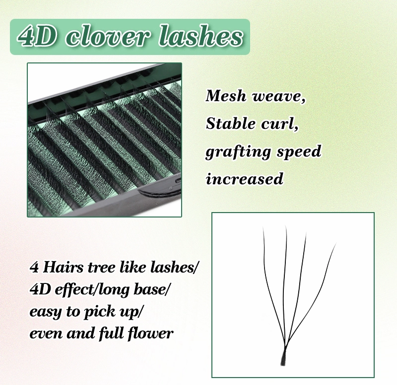 4D-Clover-lashes.webp