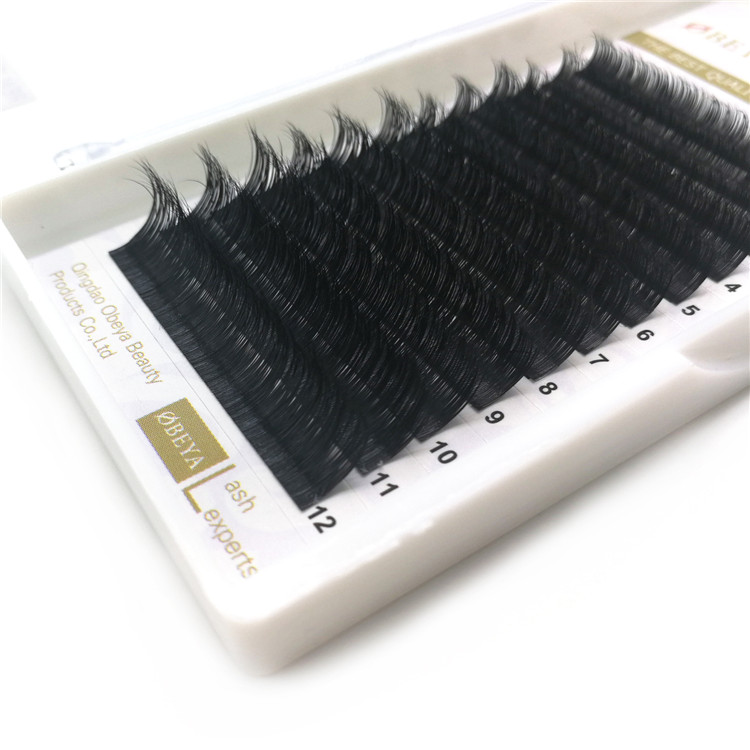 ODM OEM accepted C D Curl 100% real mink volume eyelash extensions  YY