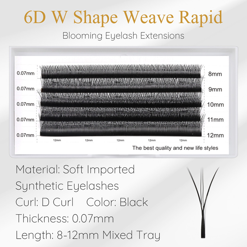 Private Label 6D W Shape Lash Extensions Wholesale LM